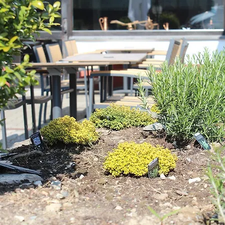 Bescheider Muehle 3* Bescheid