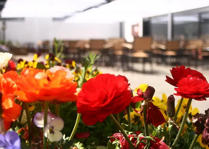 Bescheider Muehle 3* Bescheid